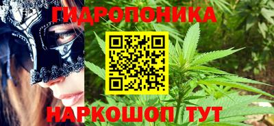соль ск Дубна