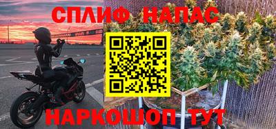 МДПВ Донецк
