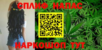 МДПВ Донецк