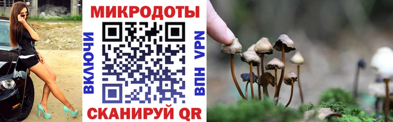 Псилоцибиновые грибы Psilocybe  Коркино 