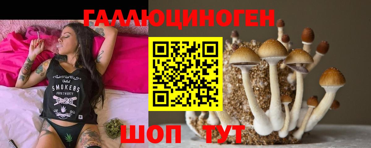 Псилоцибиновые грибы Psilocybe Коркино