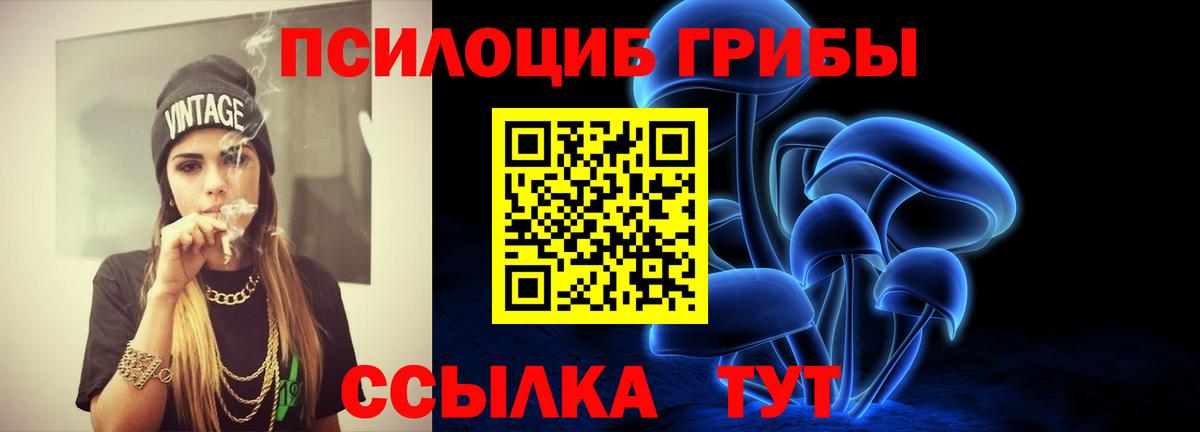 Псилоцибиновые грибы Psilocybine cubensis Коркино